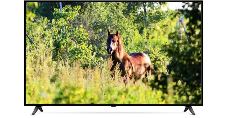 sewa tv 50 inch jakarta